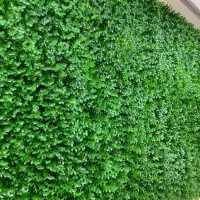 گرینوال مصنوعی دیوار سبز صنوبر