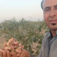 نهالستان رشید(بینظیر)