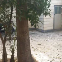 زیر-همکف-سراسر-نور-فوری-فروشی