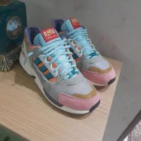 zx10000ابنباتی اورجینال