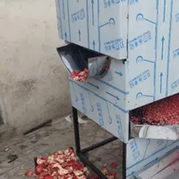 دستگاه حرفه ای انار دانه کن،دانکن+دونکن،دون دان،|سایر لوازم برقی|تهران, تهران‌سر|دیوار