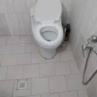 توالت فرنگی