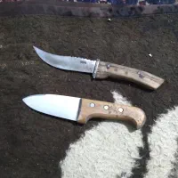 دوتا کارد