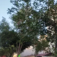 سرایدار باغ ویلای مسکونی