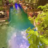 تور طبیعت گردی