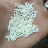 برنج جمشیدی درجه یک