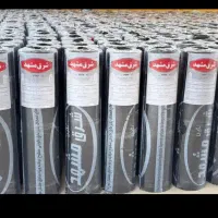 ایزوگام شرق بی نظیر