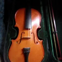 ویلون کارکرده