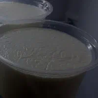 سفارش ماست  محلی پذیرفته می‌شود