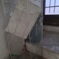 قفس جوجه پران