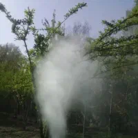 خدمات باغبانی درختکاری و سمپاشی وتیلر زدن