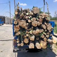 خریدار چوب