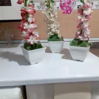 سه عدد گلدون پلاستیکی