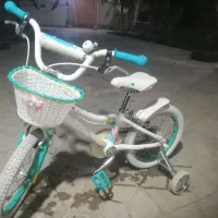 دوچرخه دخترانه جاینت اصل