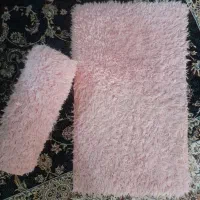 دو عدد پادری شگی