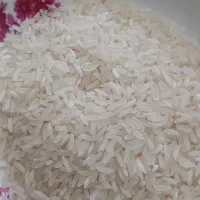 برنج فجر ایرانی