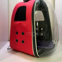 کوله سگ نصف قیمت