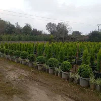 زمین-با-سند-و-کاربری