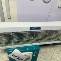 حشره کش صاعقه