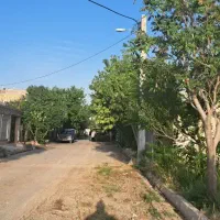 زمین مسکونی راشته