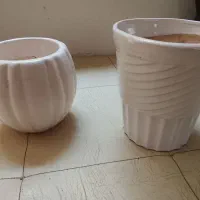 گلدان  سفالی و پلاستیکی