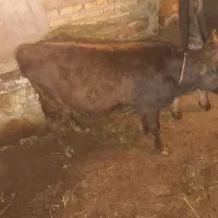 ۵۰۰۰۰۰۰۰۰