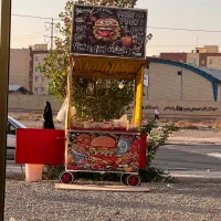 گاری ساندویجی سیار
