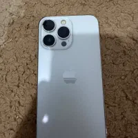 13 pro
