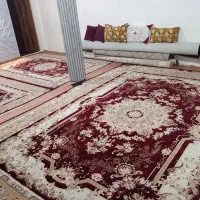 فرش 1000شانه