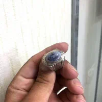 شجر ناب