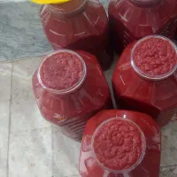 رب خانگی ارگانیک