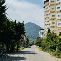 زمین-کوچه-زیبا