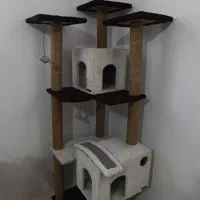 اسکرچر گربه