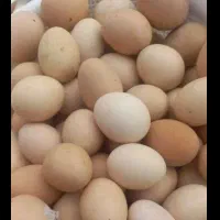 تخم مرغ محلی تازه