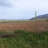 زمین کشاورزی