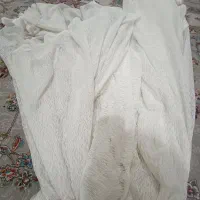 پرده