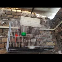 قفس پرنده مفت سالم