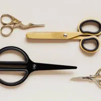 همکاری با اصلاح کار سالن زیبایی بانوان