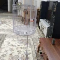 قفس پرنده کاملا نو و سالم بدون رنگ پریدگی