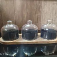 جای خشکبار مناسب پذیرایی