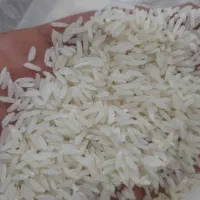 برنج شیرودی اعلا