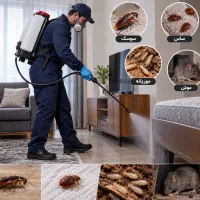سمپاشی تخصصی و تضمینی با اثر گذارترین سم ها