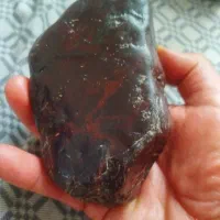 طبیعت گردی و کوهنوردی