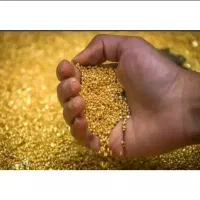خرید اقساطی طلا