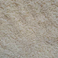 درجه یک هاشمی