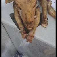 کله پاچه
