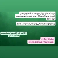 نهالستان قبادی تولید کننده انواع نهال میوه