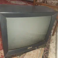 تلوزیون