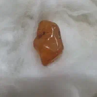 سنگ (زنده) کهربا