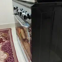 گاز
